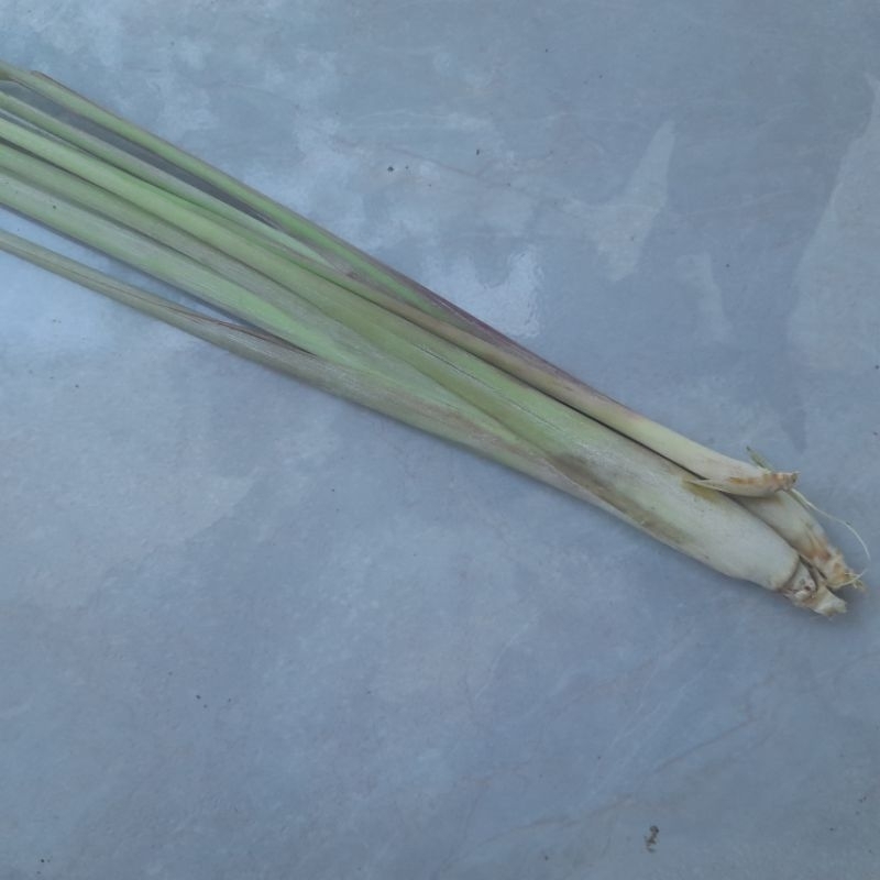 

Sereh untuk Memasak DLL 100 200 gr