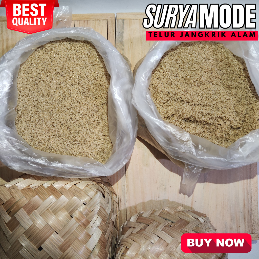 PROMO TELUR JANGKRIK ALAM MURAH