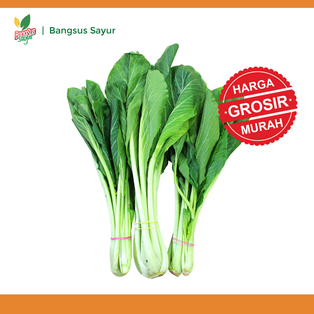 

Sawi Hijau 5Kg Grosir Segar Murah