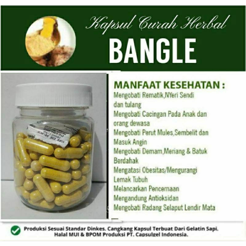 

BANGLE 100 KAPSUL OBAT HERBAL TERBAIK (PREMIUM QUALITY)