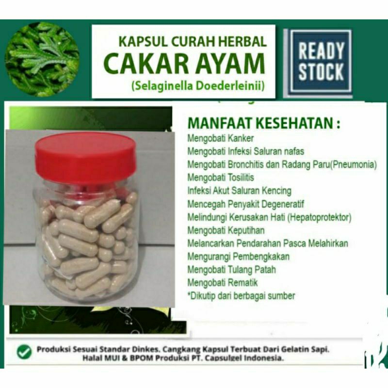 

CAKAR AYAM 100 KAPSUL OBAT HERBAL TERBAIK (PREMIUM QUALITY)