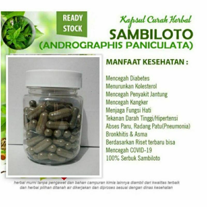 

SAMBILOTO 100 KAPSUL OBAT HERBAL TERBAIK (PREMIUM QUALITY)