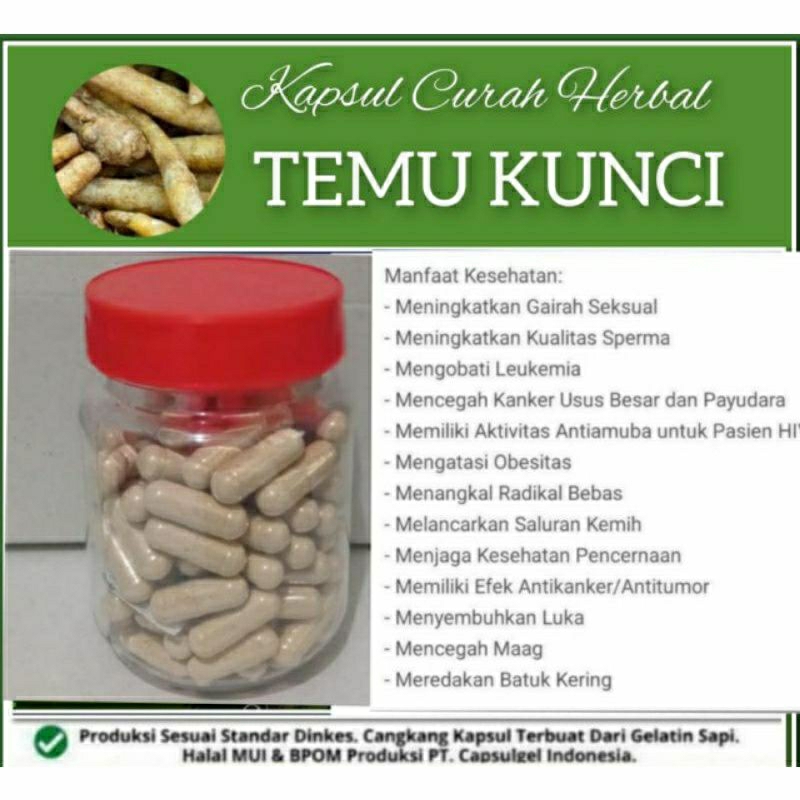 

TEMU KUNCI 100 KAPSUL OBAT HERBAL TERBAIK (PREMIUM QUALITY)