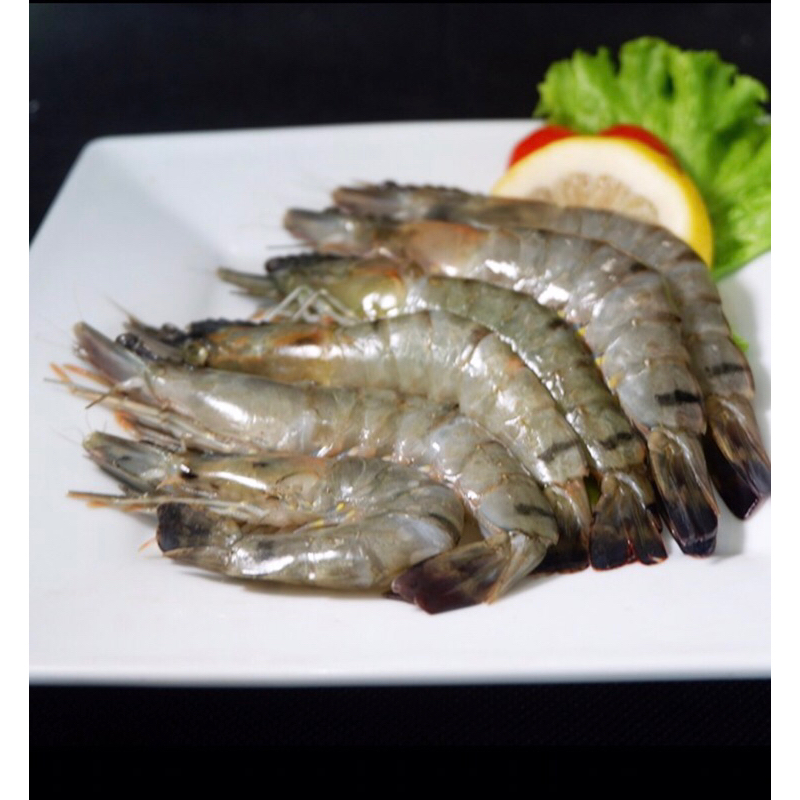

Udang Pacet / Udang Windu / Udang Tiger Fresh 500Gr