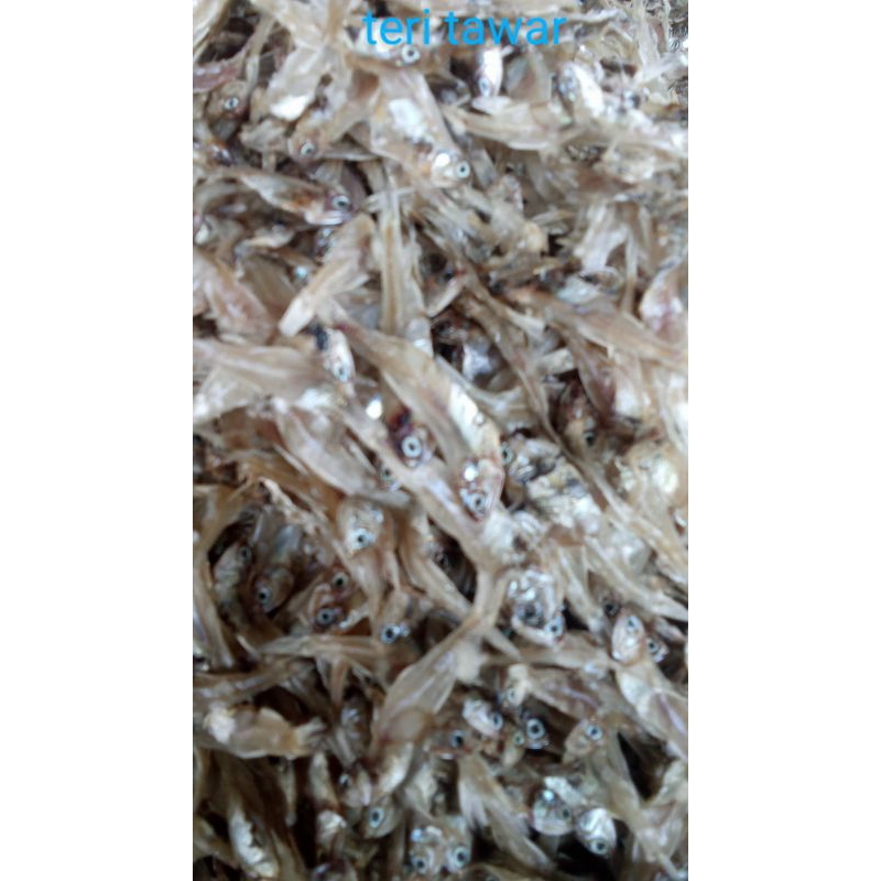 

IKAN TERI KERING TAWAR 1KG