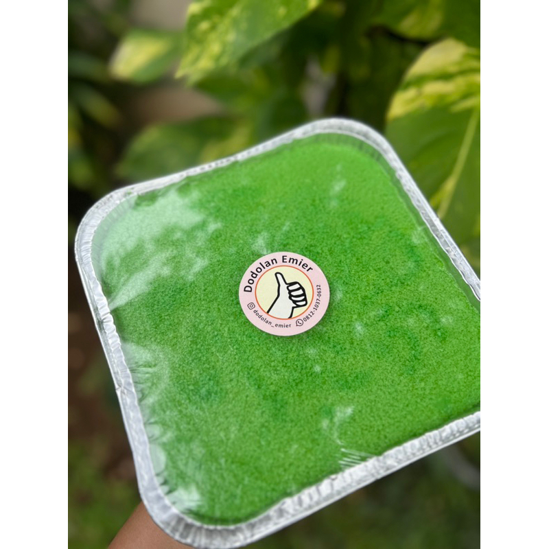 

puding lumut