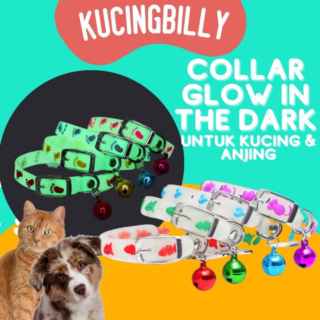 KALUNG GLOW IN DARK kucing anjing aksesoris