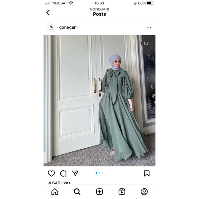 aesa dress gonegani size L