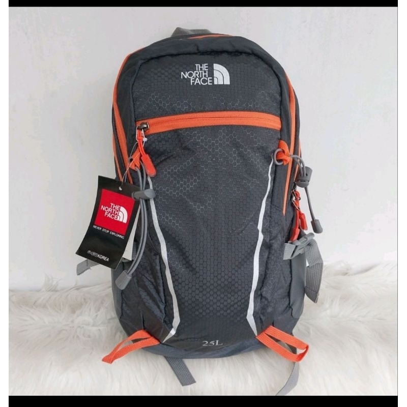 TAS RANSEL PRIA TNF 25L OUTDOOR