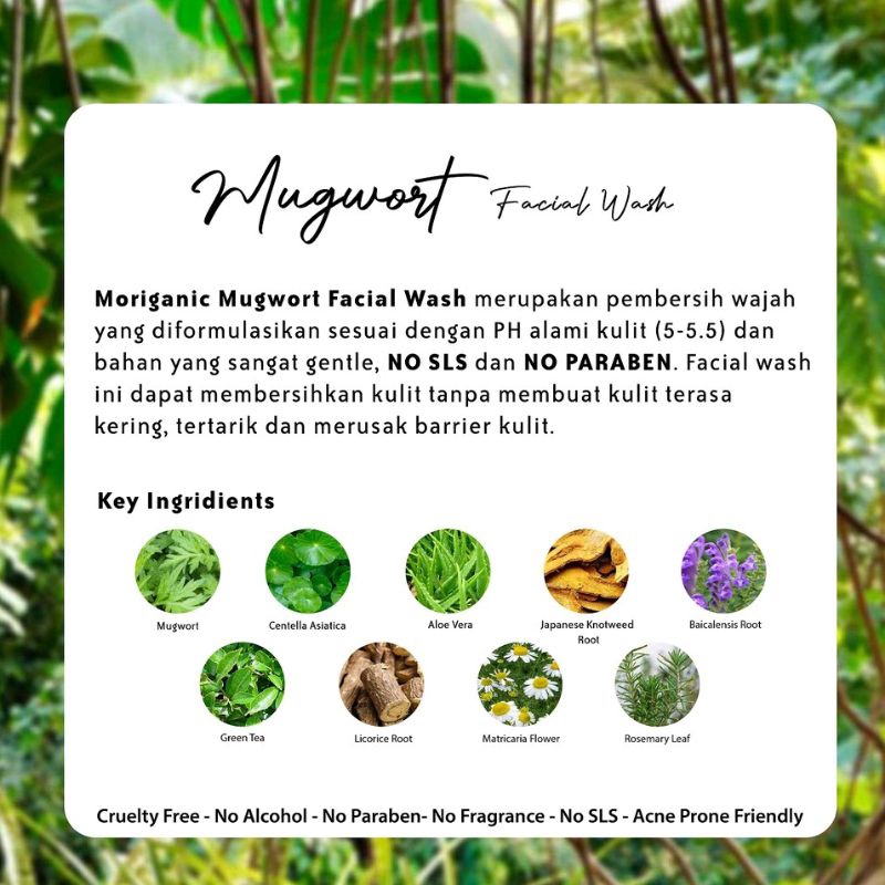 Moriganic Mugwort Facial Wash - 100 ml