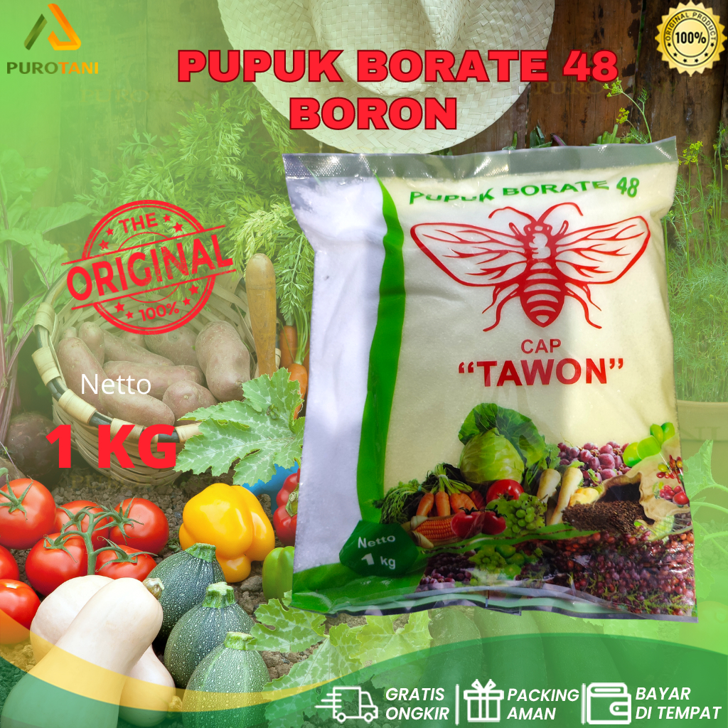 pupuk borate 48 cap tawon
