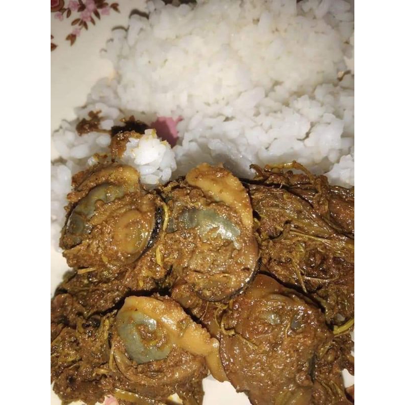 

Randang Lokan Mix Pakis - Randang Minang