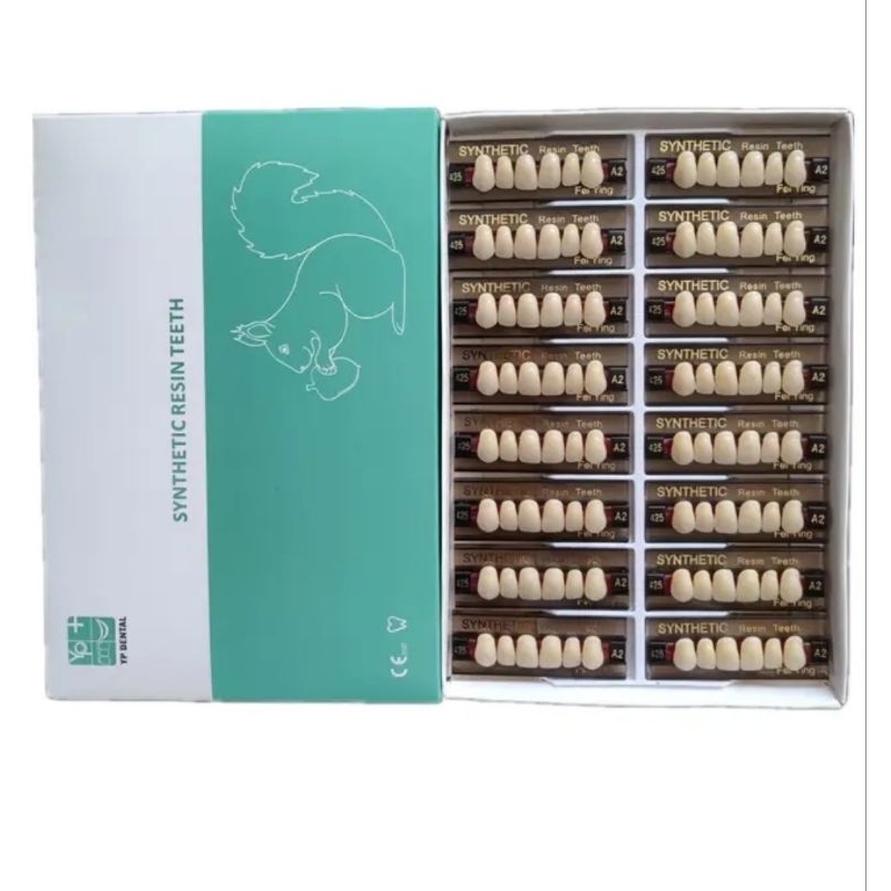YP Synthetic 1 Box Depan Anterior Anasir Artificial Gigi Palsu Seri Dental Lab