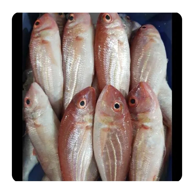 

ikan merah segar 500gr