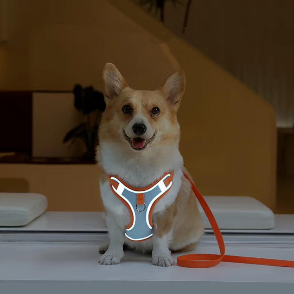 Tali Tuntun Hewan Anjing Kucing Tambang / Pet Harness Dog Cat Pet leash