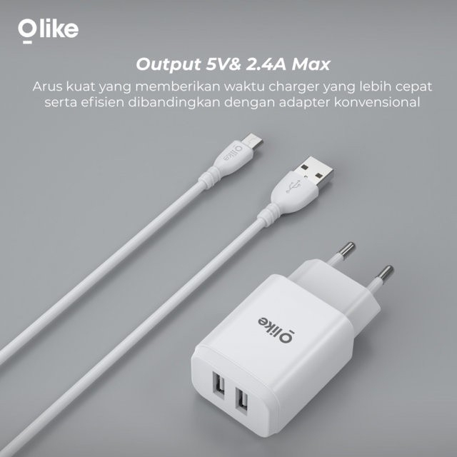 Olike C201 12W Dual USB Charger TWS Adapter Low Watt + Micro USB Cable