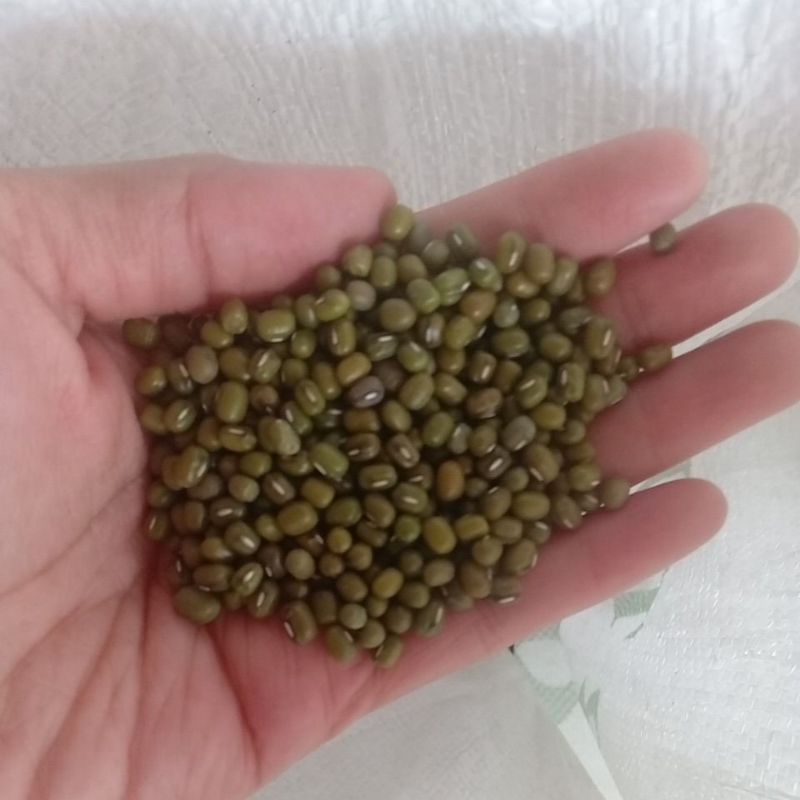 

Kacang Hijau 500 gram