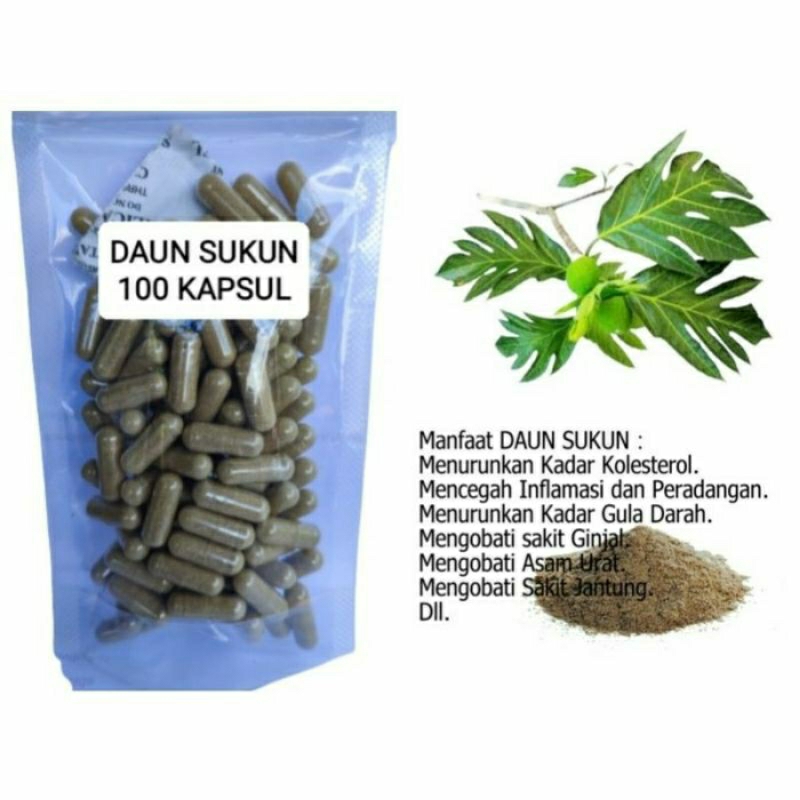 

DAUN SUKUN Kapsul Herbal Alami Kemasan Hemat - isi 100 pcs