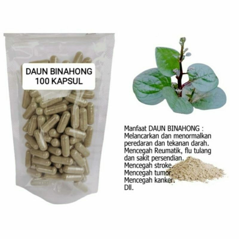 

DAUN BINAHONG Kapsul Herbal Alami Kemasan Hemat - isi 100 pcs