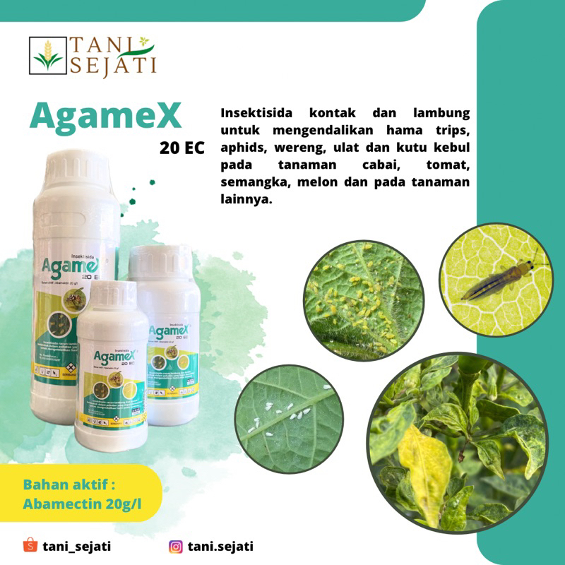 Agamex 20 EC Insektisida Abamektin Pembasmi Hama Tanaman Kutu Kebul Trips Wereng Lalat Buah Ulat | A
