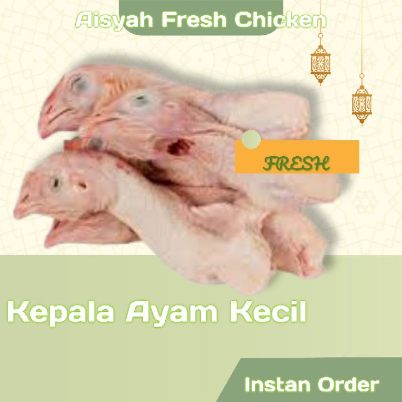 

Kepala ayam kecil boiler fresh segar termurah