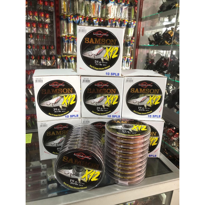 PE Relix Nusantara Samson X12 100M Multicolor