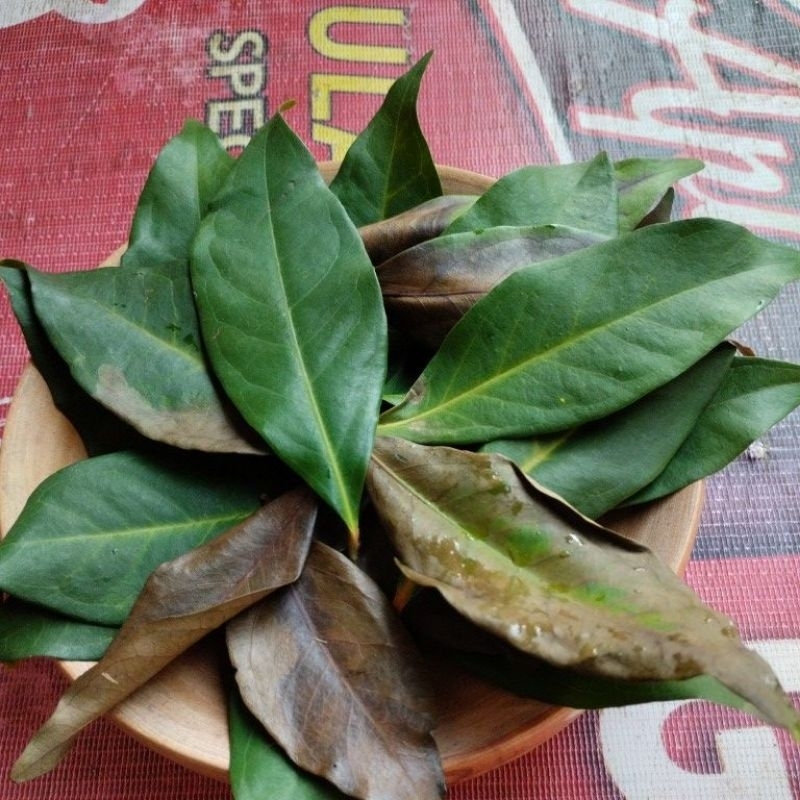 

daun salam kering satu kantong