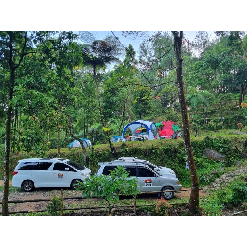 stiker mobil Caf indonesia