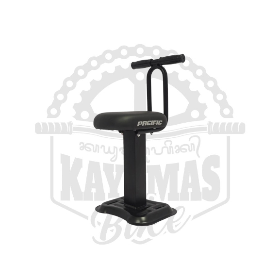 DUDUKAN DEPAN ANAK DI SEPEDA LISTRIK PACIFIC CHILD SEAT UNIVERSAL