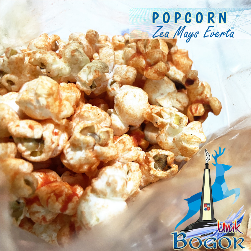 

Popcorn Balado Original Jagung Amerika Rasa Balado