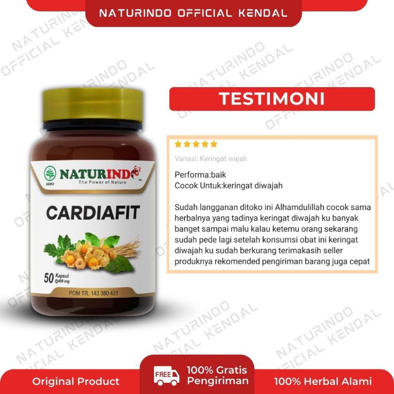 Obat herbal spesial jantung paling ampuh, herbal atasi lemah jantung, obat atasi jantung berdebar, herbal jantung lemah