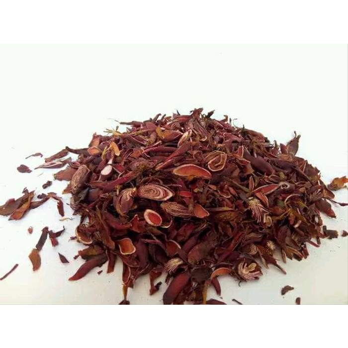 

TERBAIK HERBAL BAWANG DAYAK/BAWANG KABE -1KG