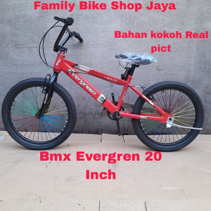 Sepeda Anak Bmx Evergreen B1 20 Inch
