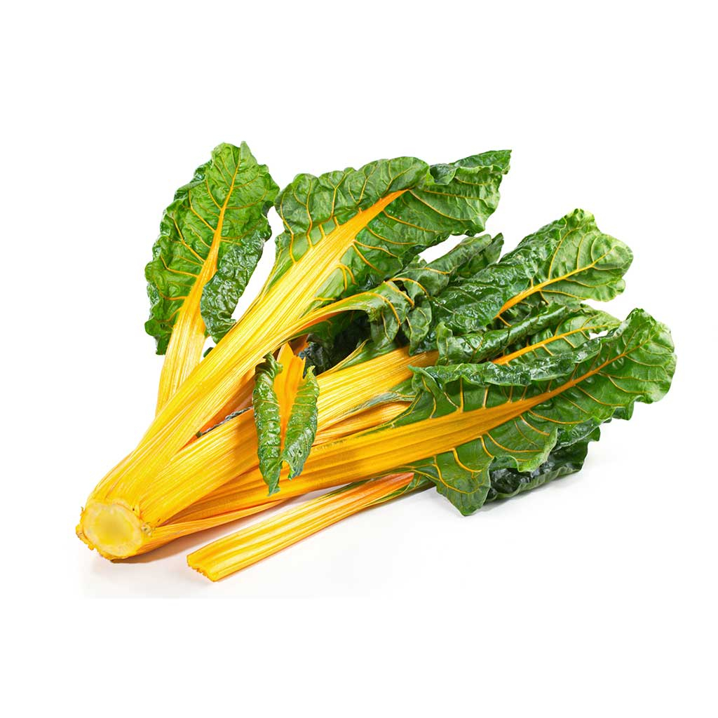 Benih Bibit Biji - Swiss Chard Canary Yellow Seeds - IMPORT