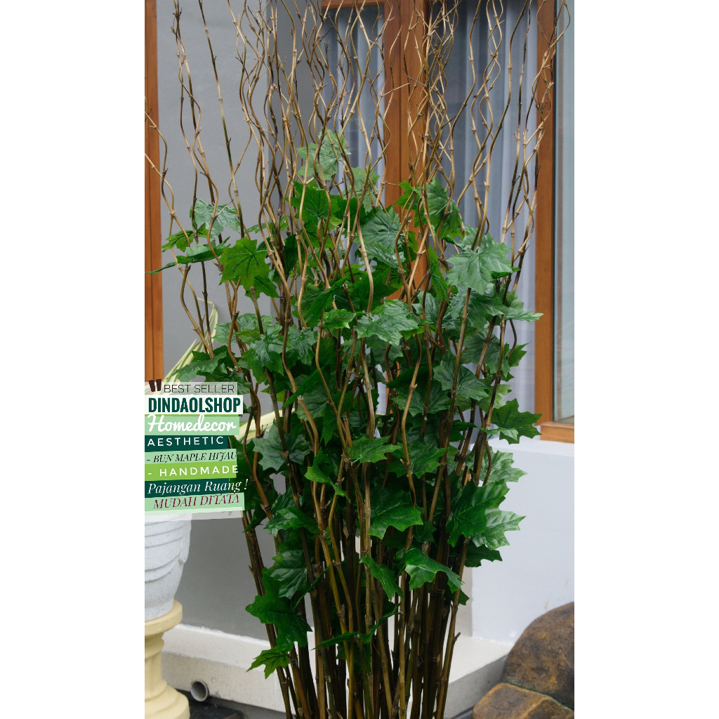bambu ulir hias 25 Btg Bambu Ulir Natural Maple Hijau 190cm (Tanpa Pot)