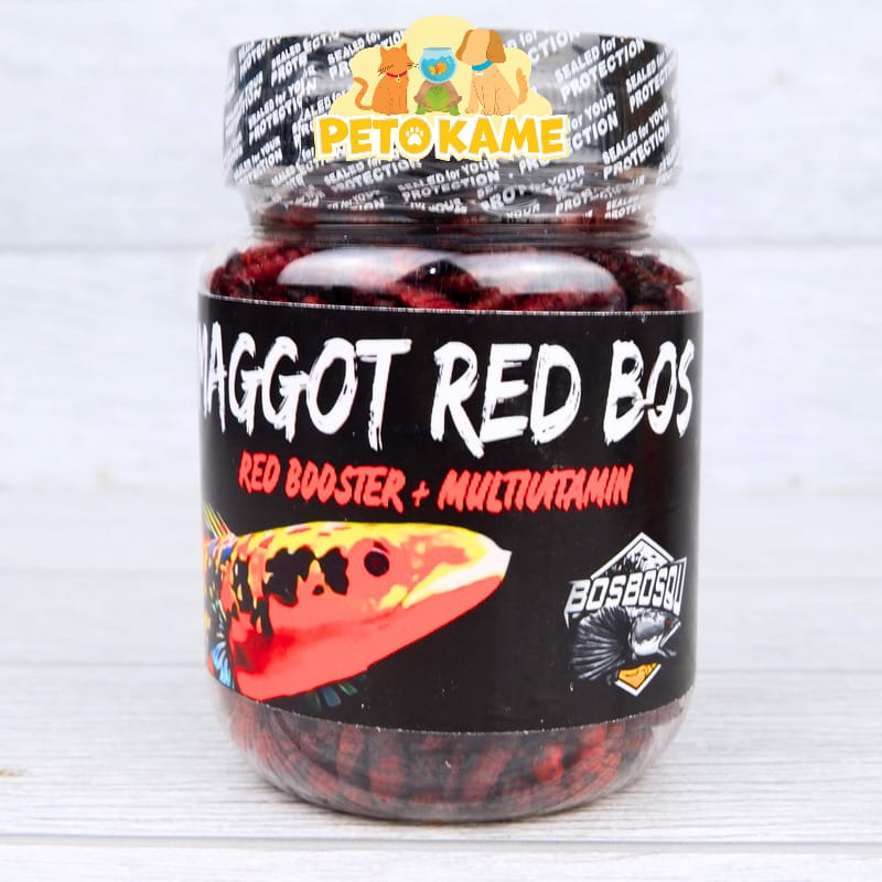 Bos Bos Qu MAGGOT RED BOS | Pakan Ikan Channa Cabung Bunga Maru