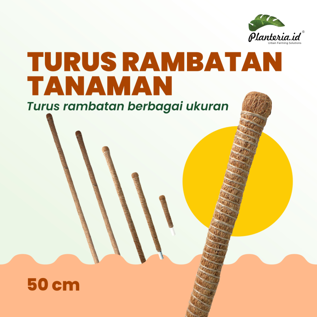 Turus/Rambatan 50 cm