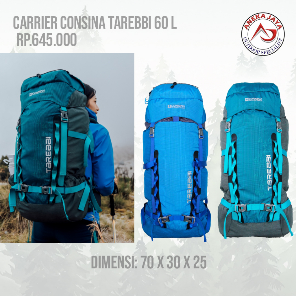 CARRIER CONSINA TAREBBI 60 LITER