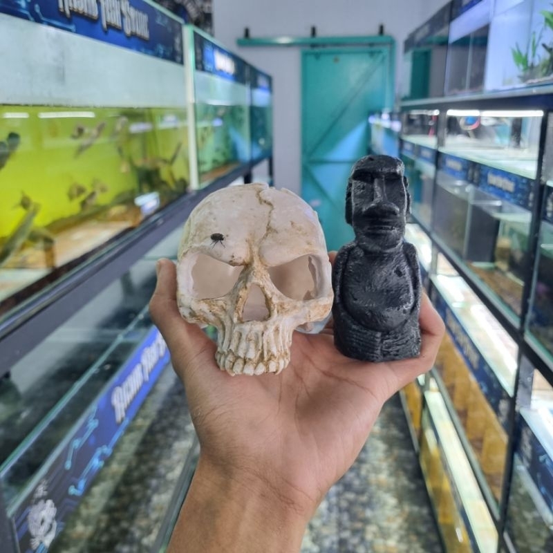 hiasan aquarium channa tengkorak, patung moai, candi kualitas premium