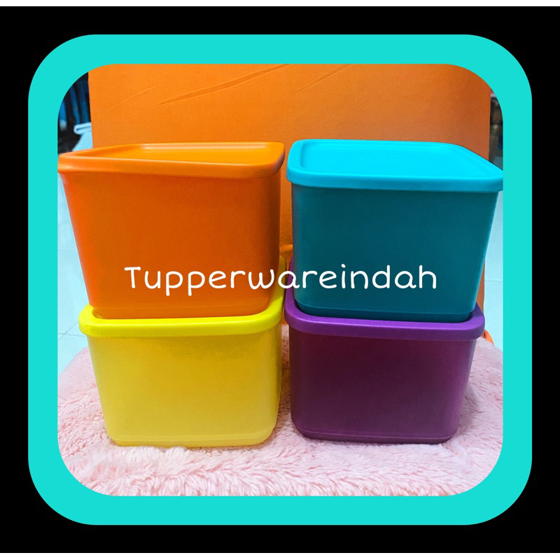 Tupperware medium summer original