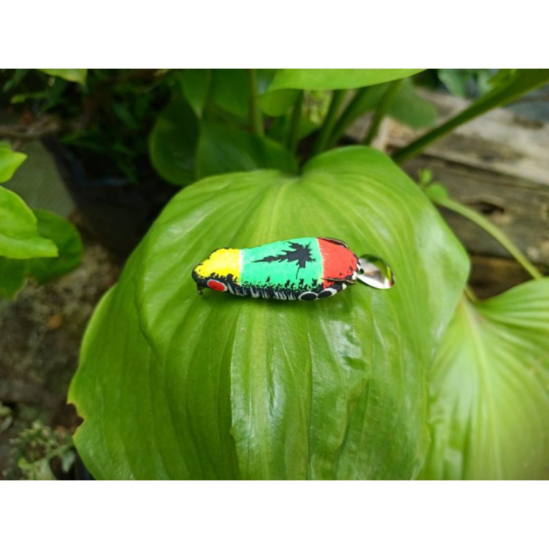 SOFT FROG RASTA MELAS LURE 5CM