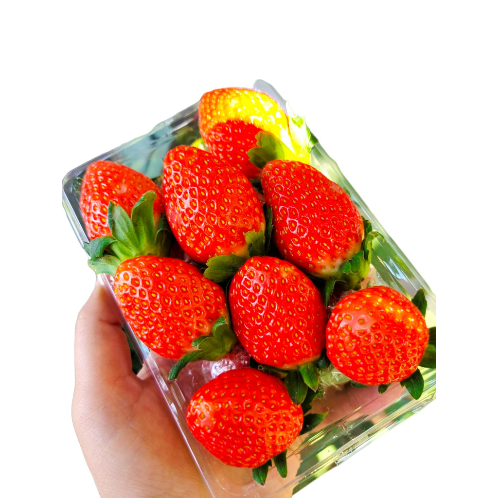 Strawberry Korea Fresh Impor