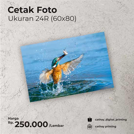 CETAK FOTO UKURAN 24R