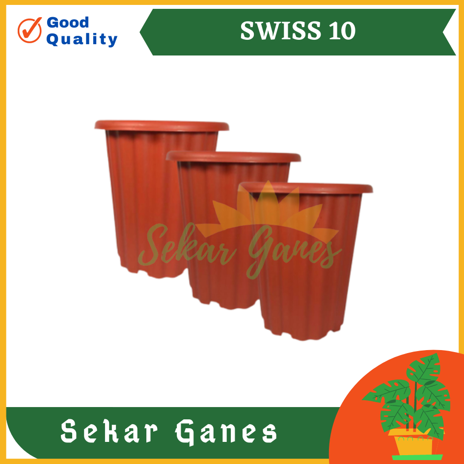 Pot Swiss 10 Merah Bata Pot Yogap 10 13 15 Putih Coklat Merah Bata Bening Transparan Pot Yogap 17 18 19 Pot Yogap Murah Pot Bunga Tinggi Pirus Tegak Bagus Tebal