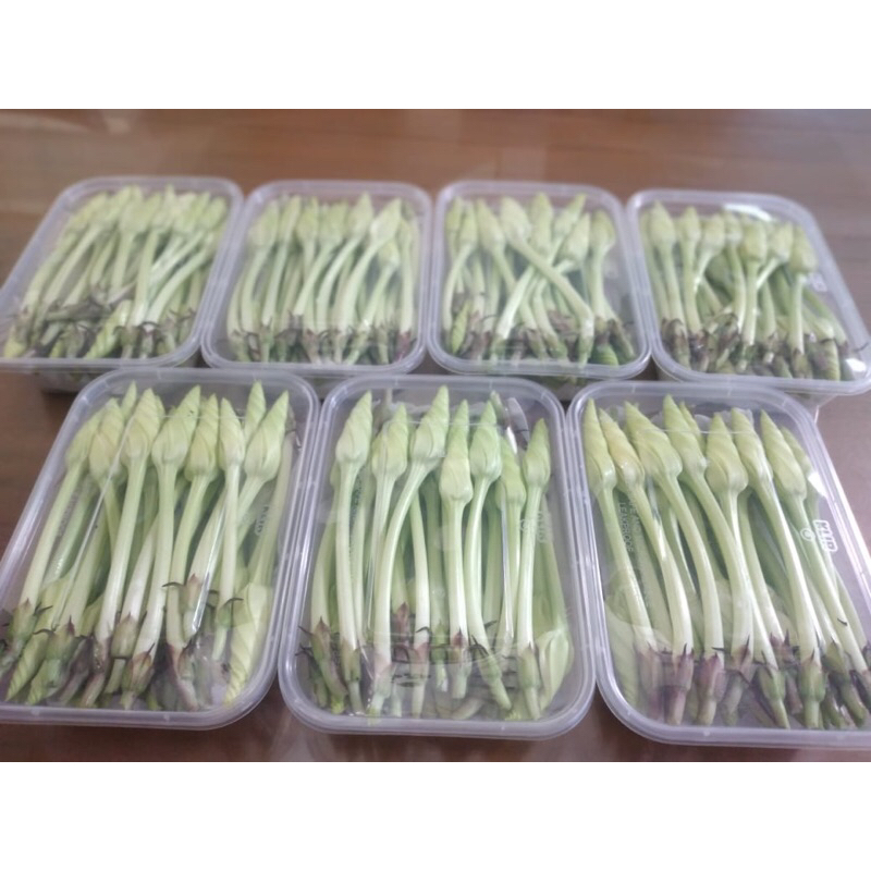 

Sayur Sedap malam /Cam chai (100gr)