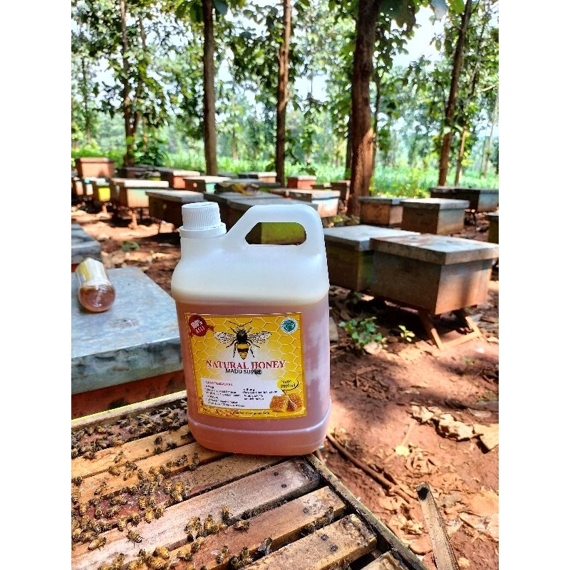 Madu Natural honey/ madu Mentah /Madu raw Honey /