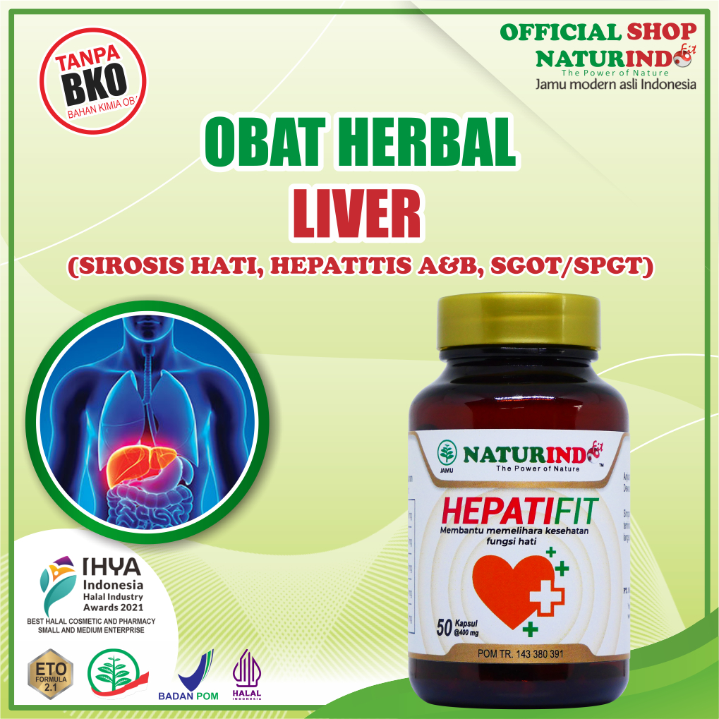 OBAT HEPATITIS B OBAT LIVER OBAT HERBAL HEPATITIS B LIVER BENGKAK OBAT LIVER KRONIS HERBAL BENGKAK P
