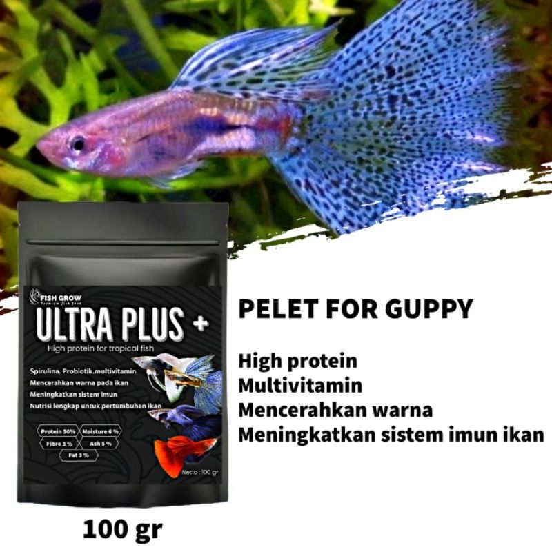 PELET PAKAN IKAN GUPPY MOLLY CUPANG GLOFISH 100GRAM