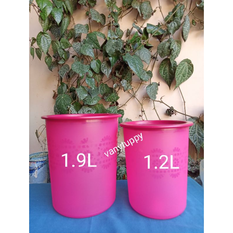 peach canister raya canister tupperware 1.9 liter 1pcs