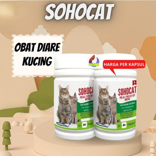 Eceran Obat Diare Mencret Kucing Sohocat Ampuh Mengatasi Gangguan Pencernaan Hewan